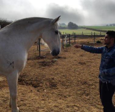 Xisco Munoz with a horse.